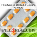 Para Qué Se Utiliza La Gelatina Kamagra cialis3